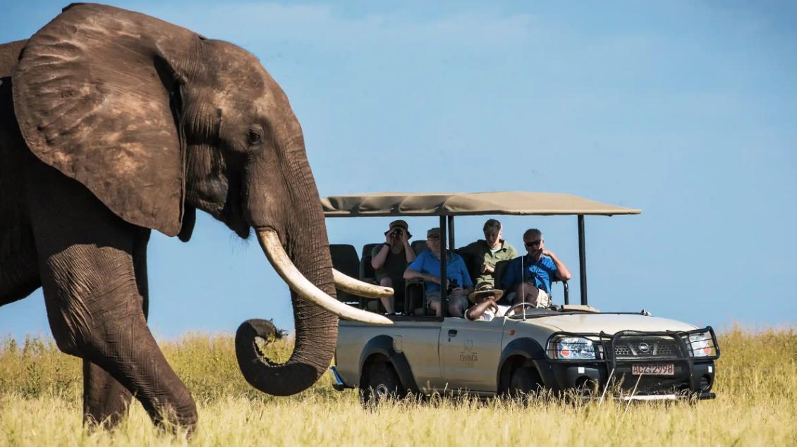 safaris in Zimbabwe